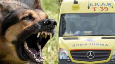 Photo of Φρίκη στα Άνω Λιόσια: Αγέλη σκύλων κατασπάραξε 68χρονη μέχρι θανάτου