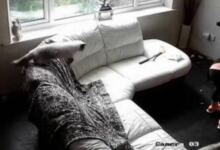 Photo of 39χρονη έβαλε κρυφή κάμερα στο σπίτι – Έπαθε σοκ όταν είδαν τι έκανε η babysitter