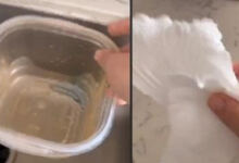 Photo of Το κόλπο για να καθαρίσετε τα πλαστικά δοχεία από το λάδι, μέσα σε λίγα δευτερόλεπτα