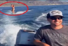 Photo of Γυναίκα κάνει wakeboard όταν νιώθει κάτι περίεργο να την πλησιάζει από πίσω – Μόλις δείτε τι είναι θα μείνετε άφωνοι (Video)