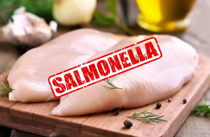Σαλμονέλα σε εισαγόμενο κοτόπουλο στην ελληνική αγορά