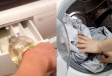 Photo of Το κόλπο που ελάχιστοι γνωρίζουν: Έριξε λευκό ξίδι στο πλυντήριο ρούχων και έμεινε έκπληκτη με το αποτέλεσμα