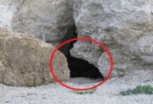 Photo of Έβαλαν κάμερα έξω από αυτήν τη σπηλιά. Έπαθαν την πλάκα τους όταν είδαν τι κατέγραψε!