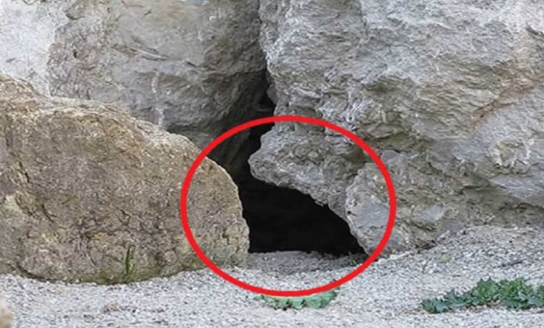 Photo of Έβαλαν κάμερα έξω από αυτήν τη σπηλιά. Έπαθαν την πλάκα τους όταν είδαν τι κατέγραψε!
