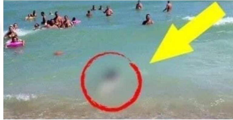 Οι τουρίστες δεν πίστευαν στα μάτια τους!