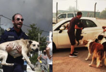 Photo of Με τα σκυλιά στην αγκαλιά τους τρέχουν να σωθούν κάτοικοι στο Μενίδι