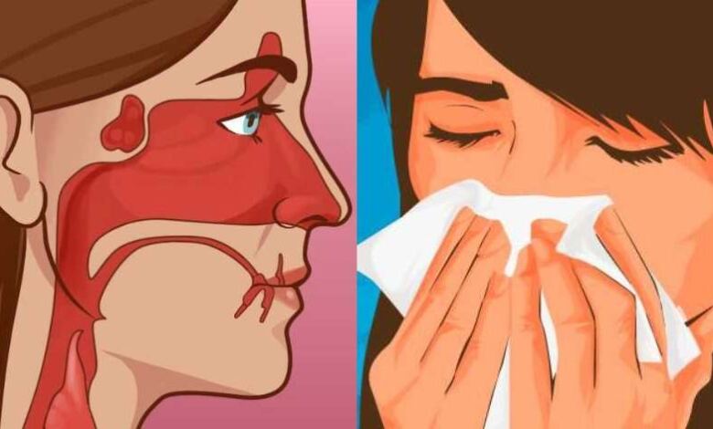 Photo of Βουλωμένη μύτη κάθε πρωί: 8 αιτίες που δεν είχατε φανταστεί και τι να κάνετε για να αναπνεύσετε ελεύθερα