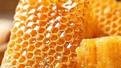 Photo of Ποιο μέλι είναι το καλύτερο