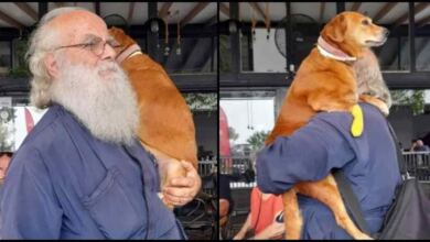 Photo of Λέσβος: Παπάς κουβαλάει στα χέρια μια σκυλίτσα που έχει πρόβλημα με τη μέση της