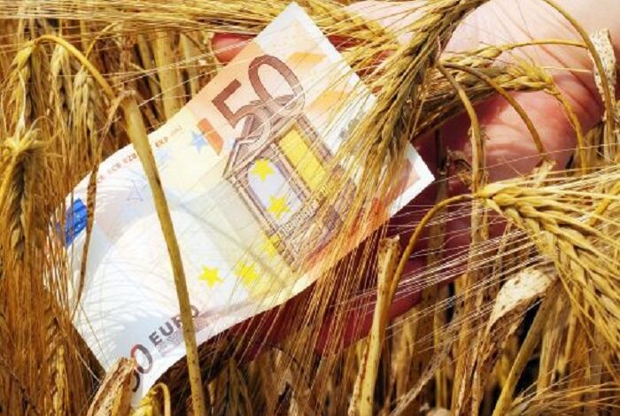 Photo of Ποια γνωστή καλλιέργεια αποφέρει 20.000 ευρώ ανά στρέμμα