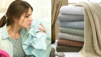 Photo of Μούχλα στις πετσέτες; Το μυστικό για να την αποτρέψετε και να την εξαφανίσετε