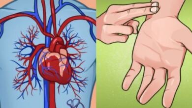 Photo of Φυσιολογικοί παλμοί καρδιάς ανά ηλικία: Τι υποδεικνύουν για την υγεία σας – Πίνακας
