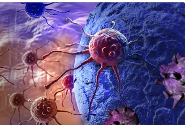 Photo of Αυτός είναι ο Νο1 φονικός καρκίνος του 21ου αιώνα – Η κύρια αιτία πρόκλησής του