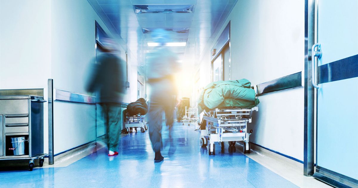 Ανείπωτη τραγωδία στον Πύργο: Κατέληξε ο 48χρονος που δέχτηκε τσίμπημα από αράχνη