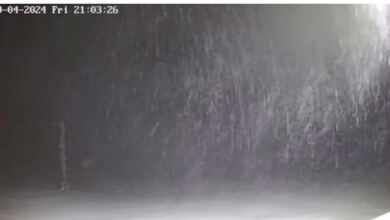 Photo of Κακοκαιρία: Απριλιάτικη χιονοθύελλα στη Βασιλίτσα – Εντυπωσιακές εικόνες