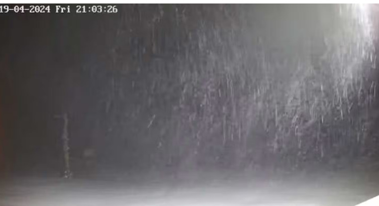Photo of Κακοκαιρία: Απριλιάτικη χιονοθύελλα στη Βασιλίτσα – Εντυπωσιακές εικόνες