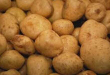 Photo of Οι χρήσεις της πατάτας που σίγουρα δεν ξέρατε