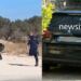 Δεν το χωράει ο νους – Πυροβόλησαν επίτηδες το 3χρονο αγοράκι στο Μαρκόπουλο – Αuτός είναι ο λόγος