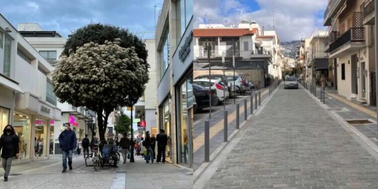 Κατάσταση έκτακτης ανάγκης σε μεγάλη πόλη της Ελλάδας: Πρέπει να θανατωθούν 1.700, δραματική η κατάσταση με τα κρούσματα