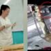 Tραγωδία στην Ελευσίνα: Αγροτικό παρέσυρε και σκότωσε 25χρονη