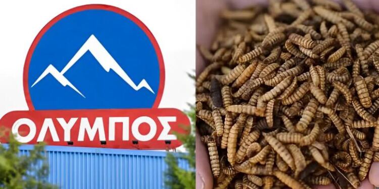 Η οικογένεια Σαράντη της Όλυμπος επενδύει στα έντομα – Η νέα αγορά μαμούθ ύψους 1,5 δισεκατομμυρίων ευρώ