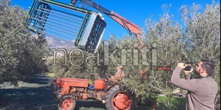 Ραβδίζει το ελαιόδεντρο σε 3 λεπτά και μειώνει το κόστος κατά 66% – Το πολυραβδιστικό μηχάνημα που κατασκεύασε αγρότης