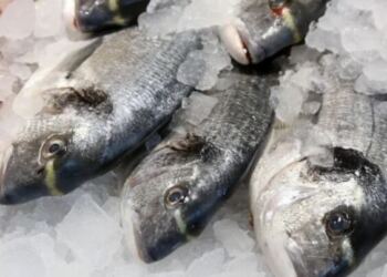 3 γρήγοροι και αποτελεσματικοί τρόποι για να ξεπαγώσετε τα ψάρια
