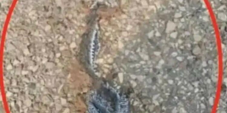 Αυτό που μπέρδεψα για σκουπίδια άλλαξε τα πάντα – Να τελικά τι ήταν και θέλω να γνωρίζετε