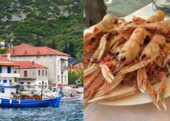 Κρυμμένος παράδεισος, χωρίς… τουρίστες: Το νησάκι που τρως ψαράκι, πίνεις και κοιμάσαι με 15 εupώ την ημέρα