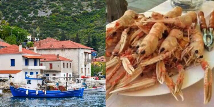 Κρυμμένος παράδεισος, χωρίς… τουρίστες: Το νησάκι που τρως ψαράκι, πίνεις και κοιμάσαι με 15 εupώ την ημέρα
