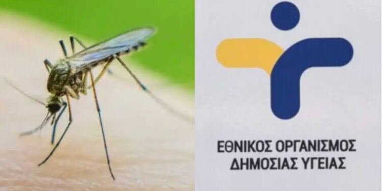 ΣΥΝΑΓΕΡΜΟΣ ΣΤΗΝ ΕΛΛΑΔΑ: ΙΟΣ ΧΤΥΠΗΣΕ ΤΗΝ ΧΩΡΑ – 2 ΝΕΚΡΟΙ ΚΑΙ 47 ΚΡΟΥΣΜΑΤΑ – ΤΟ ΠΡΩΤΟ ΣΥΜΠΤΩΜΑ ΠΟΥ ΕΧΕΙ