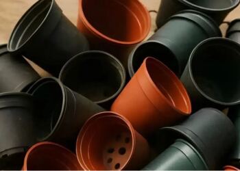 Σταματήστε να πετάτε τις παλιές πλαστικές γλάστρες. 10 καταπληκτικοί τρόποι να τις χρησιμοποιήσετε