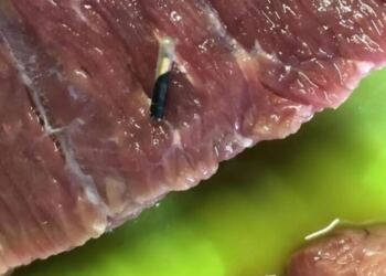 Αγόρασα κρέας από το κατάστημα και μέσα υπήρχε κάτι παράξενο: έπαθα σοκ όταν κατάλαβα τι ήταν και πώς βρέθηκε στο κρέας μου