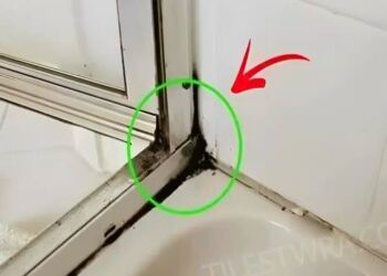 Ο πιο γρήγορος τρόπος για να απαλλαγείτε από τη μούχλα στην σιλικόνη του ντους