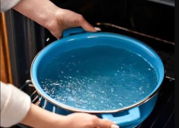 Είδα αυτό το κόλπο για τον καθαρισμό του φούρνου και δεν θα ξανακάνω τίποτα άλλο