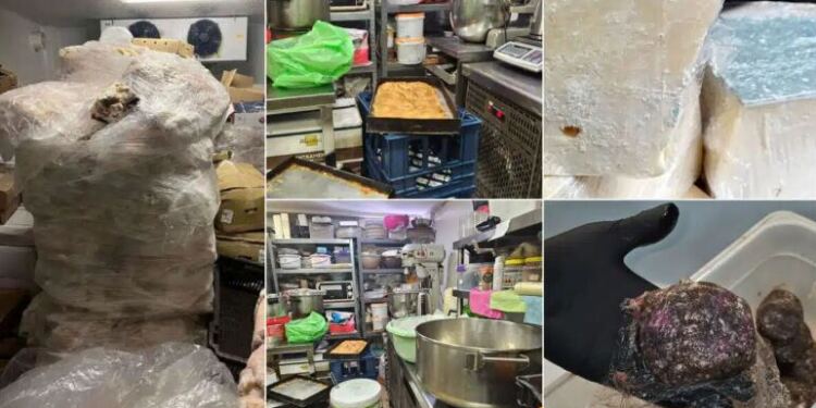Δείτε τι μας ταΐζουν – Σοκάρουν οι φωτογραφίες από την Περιφέρεια Αττικής με τους 12 τόνους ακατάλληλων τροφίμων από καταστήματα