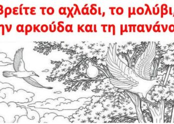 Βρείτε το αχλάδι, το μολύβι, την αρκούδα και τη μπανάνα