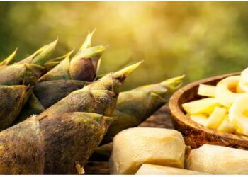 Το ασιατικό superfood που ρίχνει σάκχαρο & χοληστερόλη φυσικά
