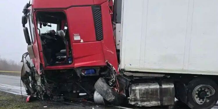 Σοκάρει ο Πολωνός οδηγός της νταλίκας που χτύπησε στο βανάκι των οπαδών του ΠΑΟΚ: «34 χρόνια στο τιμόνι, δεν…»