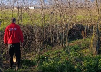 Σέρρες: Γυμνός με κομμένες τις φλέβες ο 45χρονος πυροσβέστης που εντοπίστηκε στο όρος Μπέλλες