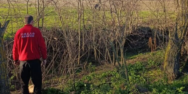 Σέρρες: Γυμνός με κομμένες τις φλέβες ο 45χρονος πυροσβέστης που εντοπίστηκε στο όρος Μπέλλες