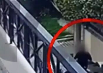Γλυκά Νερά: Ηλικιωμένοι ξεγέλασαν απατεώνα που παρίστανε υπάλληλο του ΔΕΔΔΗΕ για να τους κλέψει