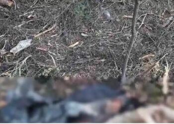 Θρίλερ στην Χαλκιδική με τα ανθρώπινα οστά που βρέθηκαν σε σακούλα