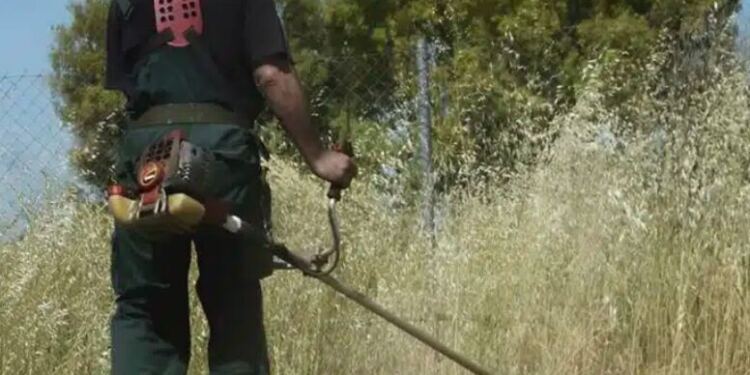 Τι αλλάζει στους καθαρισμούς των οικοπέδων με το νέο νομοσχέδιο – Πότε λήγει η προθεσμία για τους ιδιοκτήτες