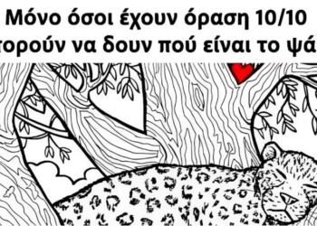 Μόνο όσοι έχουν όραση 10/10 μπορούν να δουν πού είναι το ψάρι