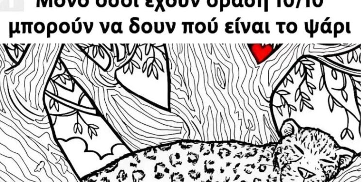 Μόνο όσοι έχουν όραση 10/10 μπορούν να δουν πού είναι το ψάρι