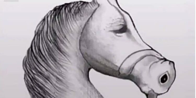 Ο μέσος άνθρωπος το βλέπει αuτό ως άλογο