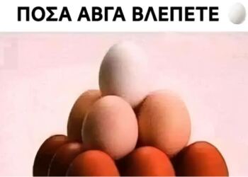 Πόσα αβγά βλέπετε σε αυτή την εικόνα;