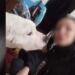 Μαθεύτηκε τι σοκαριστικό φώναζε ο 38χρονος στην 31χρονη έγκυο σύντροφό του που βρέθηκε νεκρή στον Κολωνό