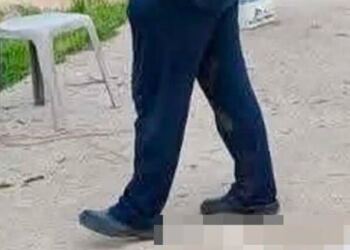 Βάβδος Χαλκιδικής: «Βρίσκαμε το ένα πτώμα μετά το άλλο» – Μαζική δηλητηρίαση αδέσποτων, τουλάχιστον 21 νεκρά σκυλιά